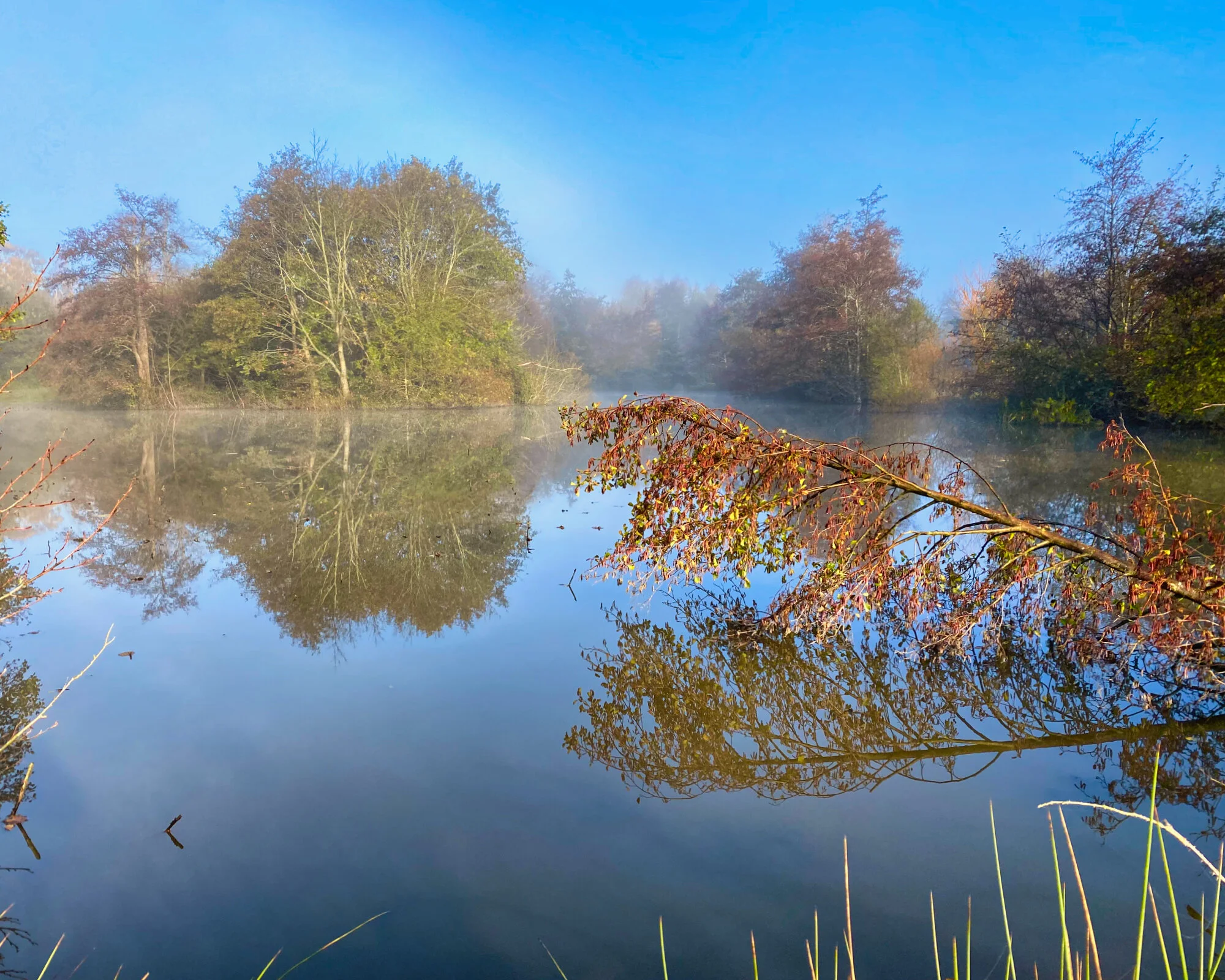 #MySundayPhoto - The Silence