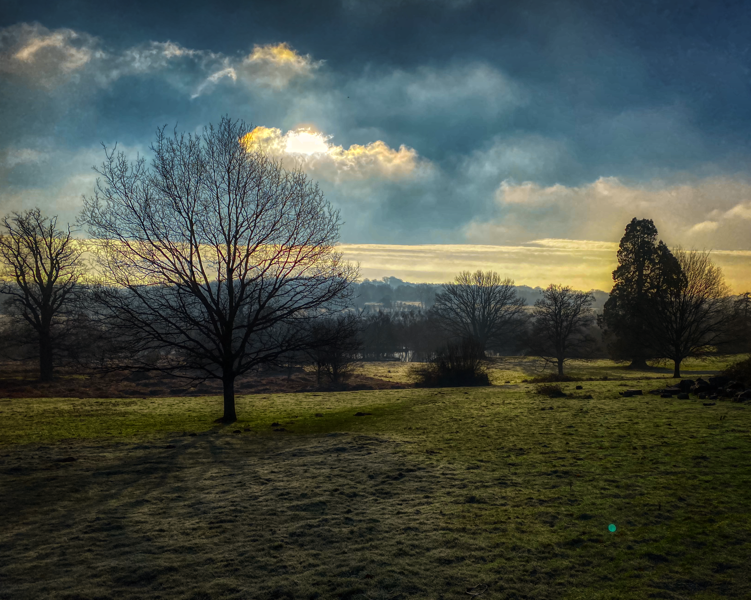 #MySundayPhoto - Cold Mornings