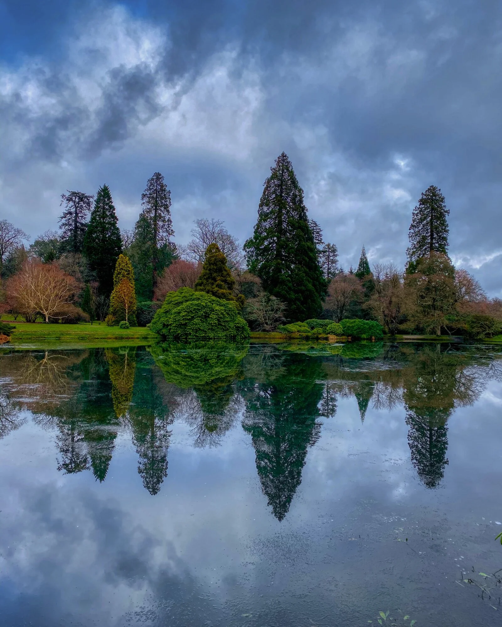 #MySundayPhoto - Winter Reflection