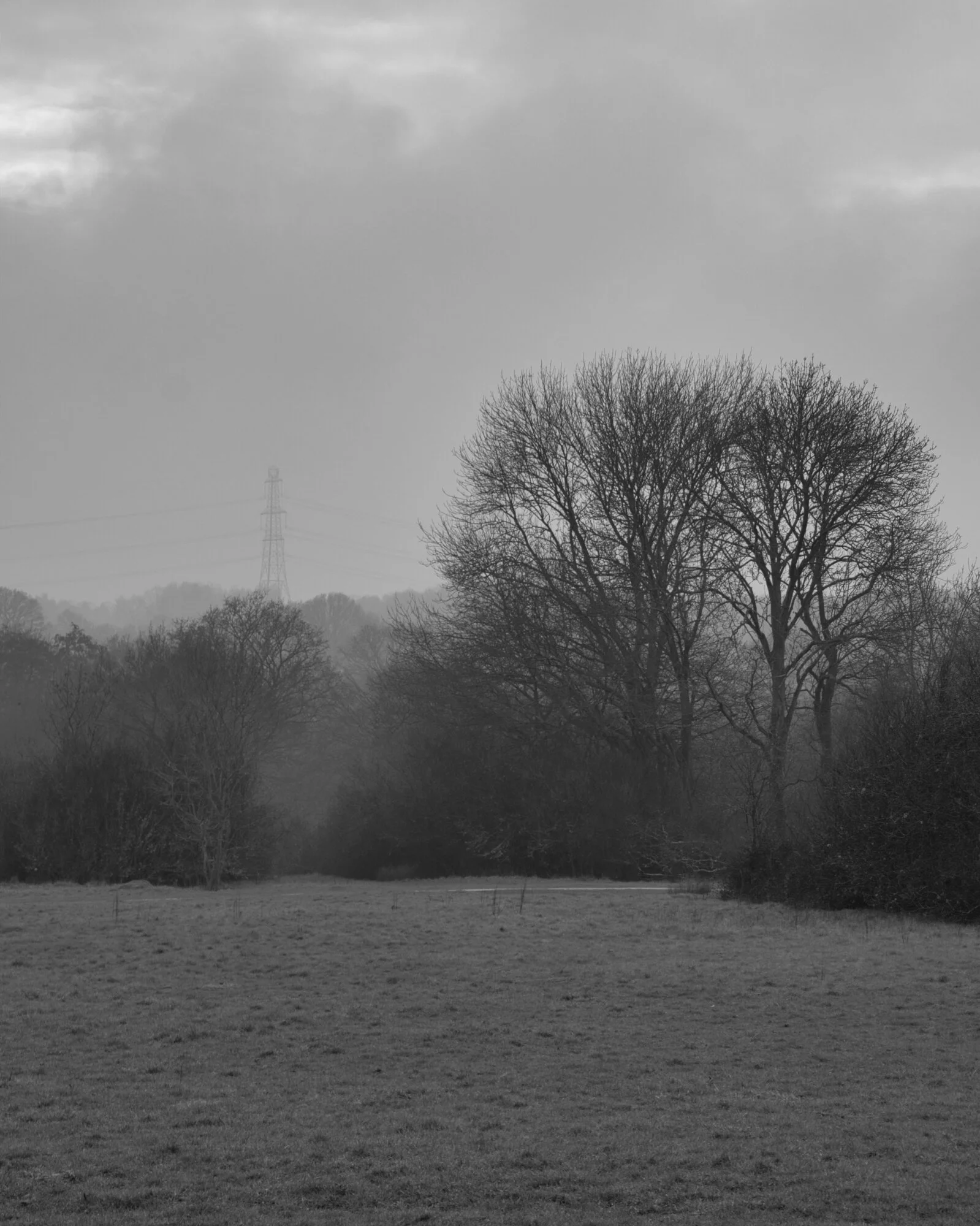 #MySundayPhoto - Ooo Moody