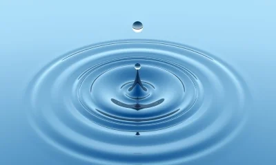 Conventional Vein Surgery