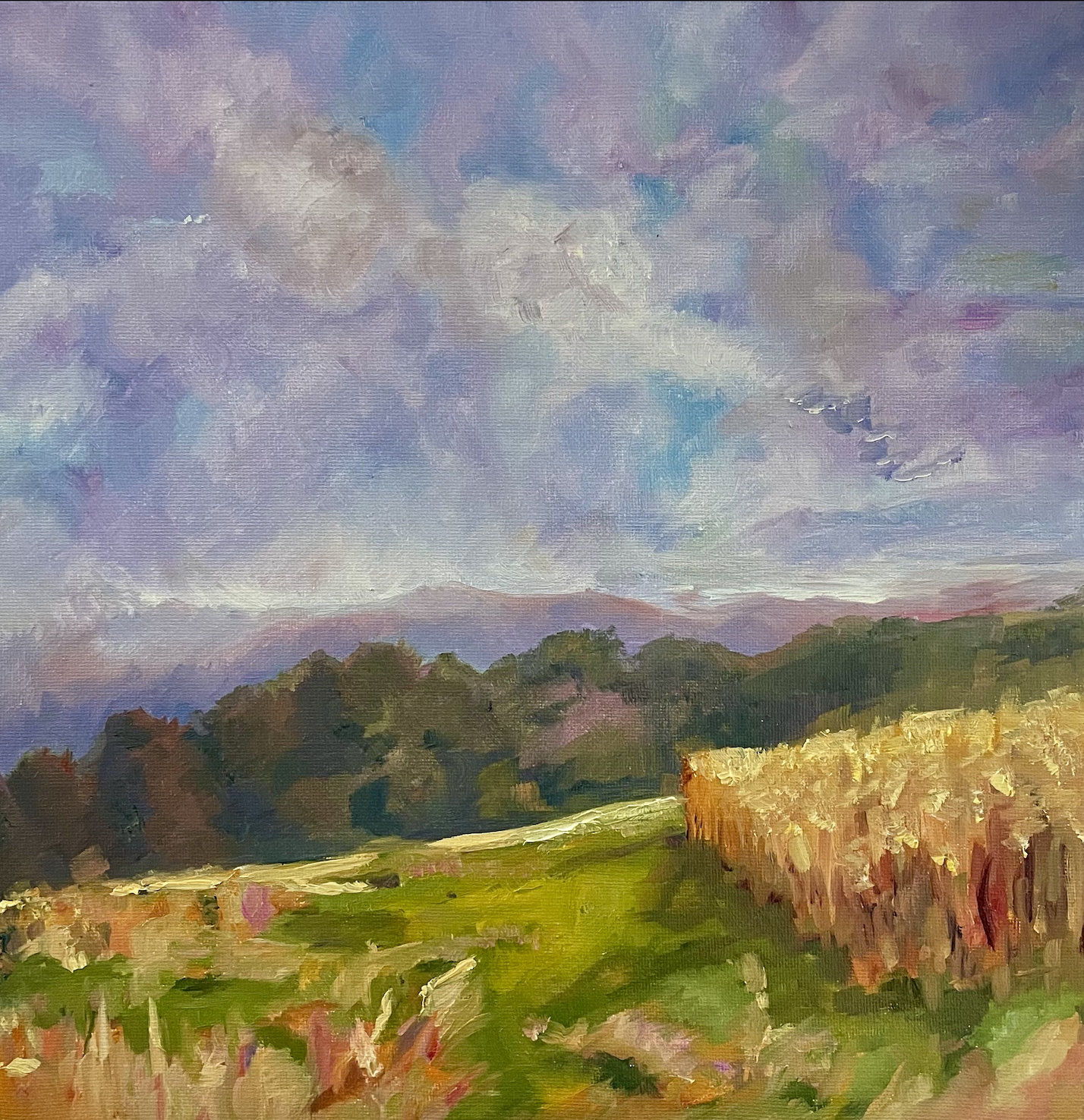 Screenshot 2026-02-10 at 3.47.07 PM.png