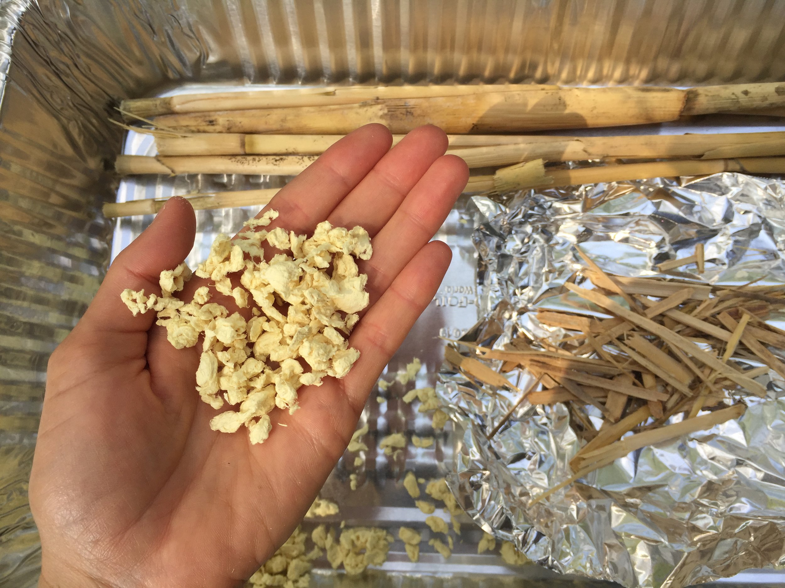  hand holding paper pulp generated from arundo biomass 