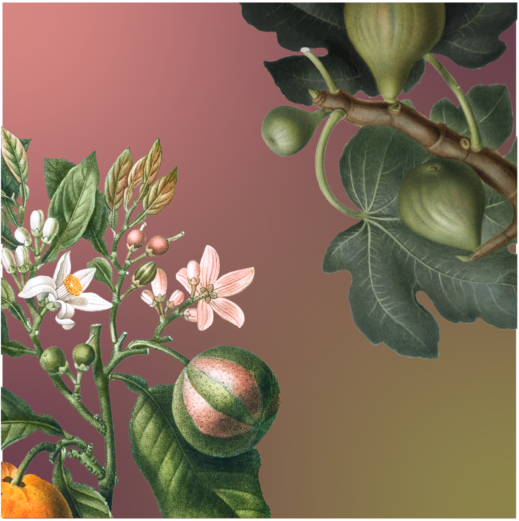 hungryhornyArtboard 59.png