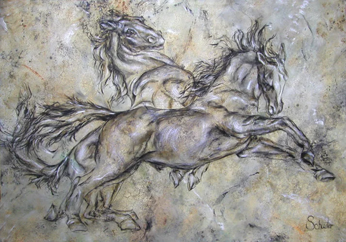Stallions lsa72.jpg