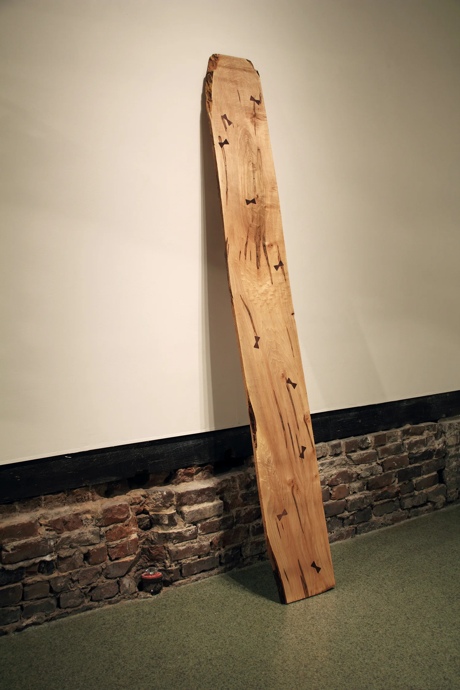 Plank.jpg