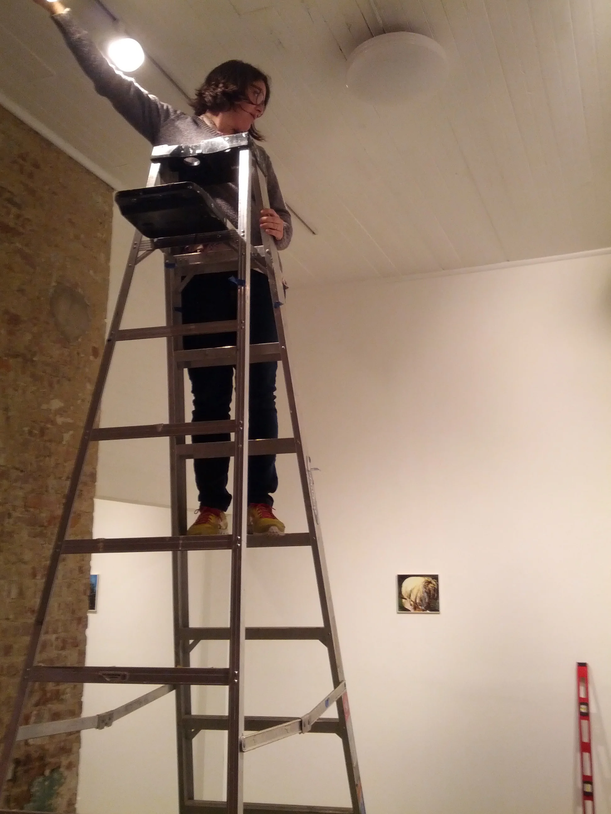 Rachel on a ladder.jpg
