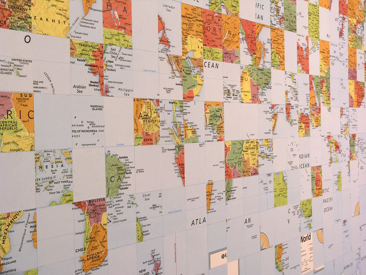 Map of the world- grid- detail.jpg