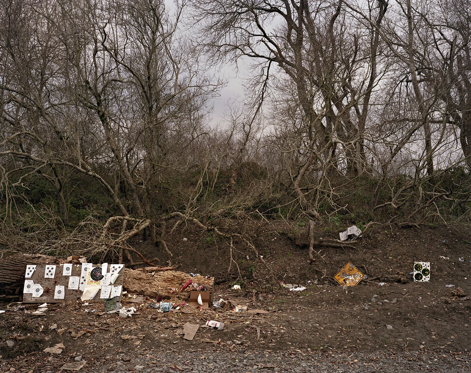 Nicole Jean Hill Makeshift Range Archival pigment print
