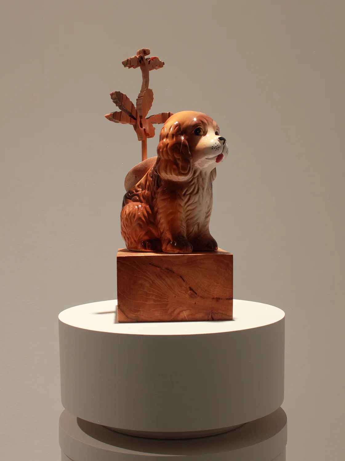 Dog-72.jpg