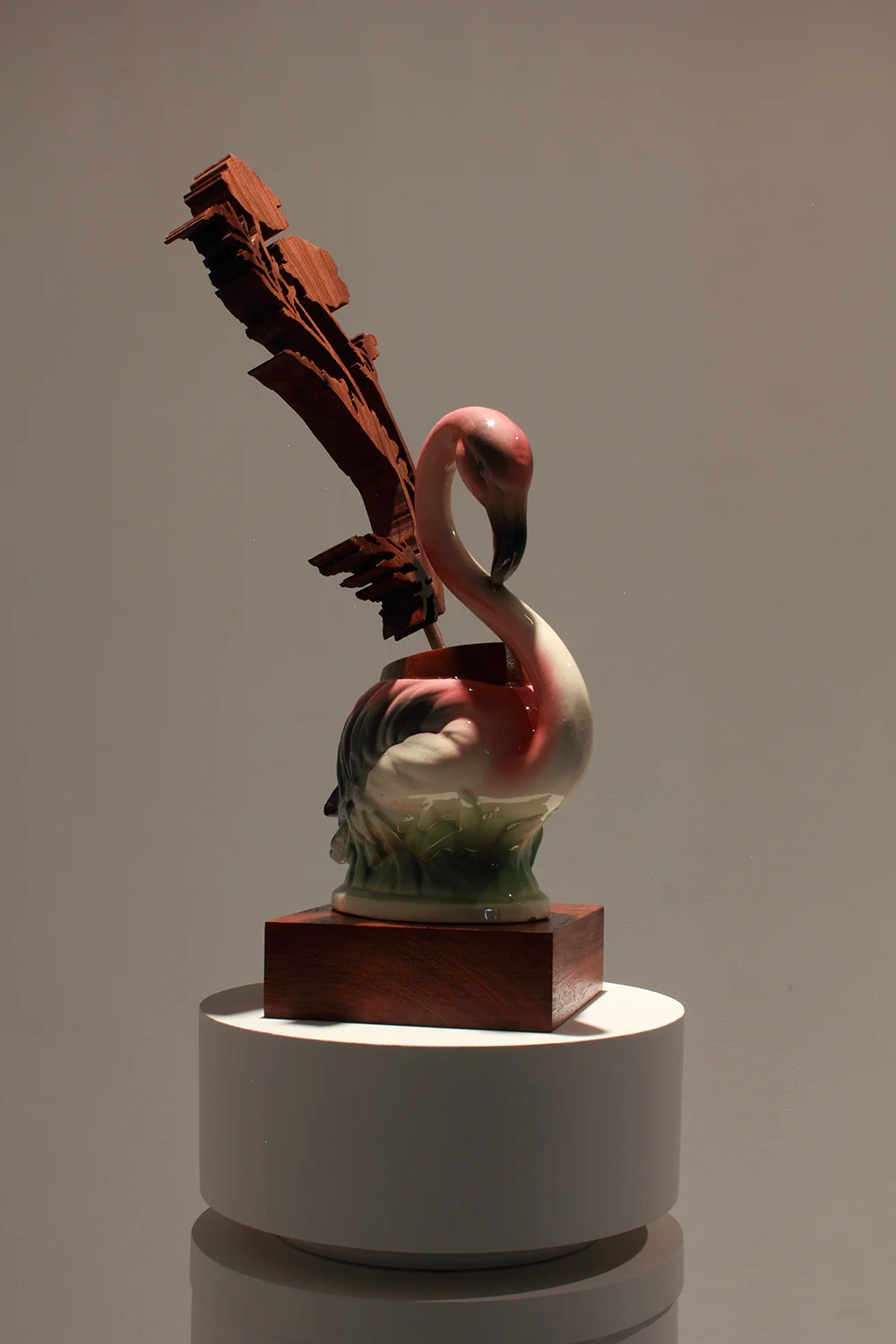 Flamingo-72.jpg