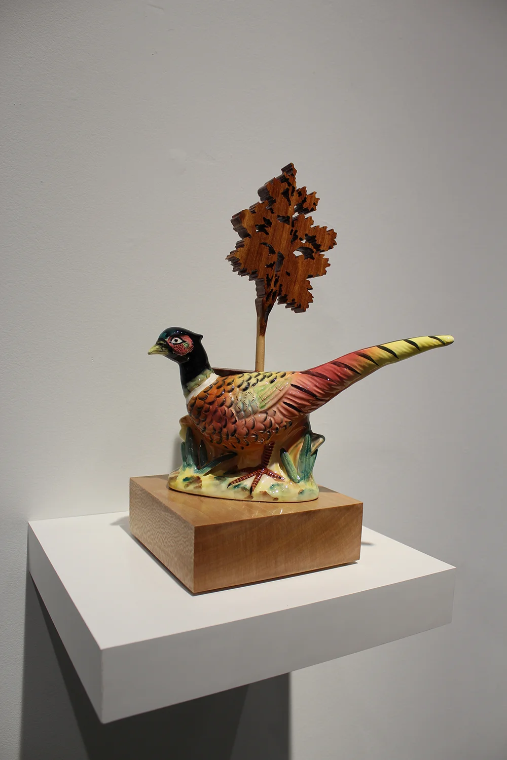 Tulsa- Pheasant 300.jpg