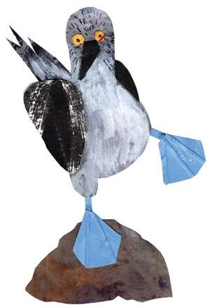 perez_bird.jpg