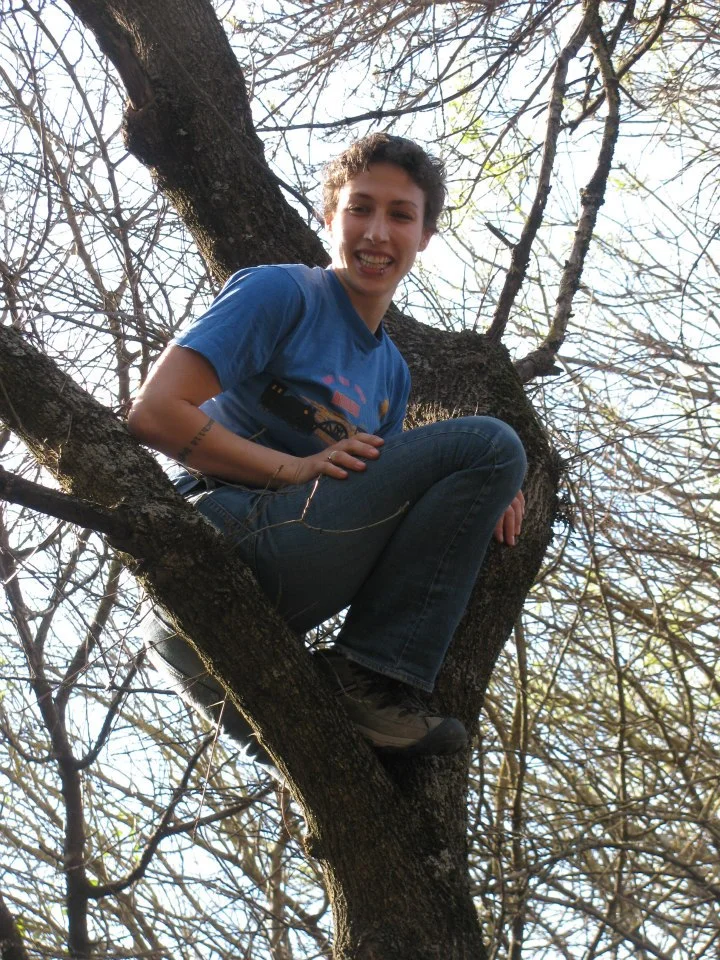 tree.jpg