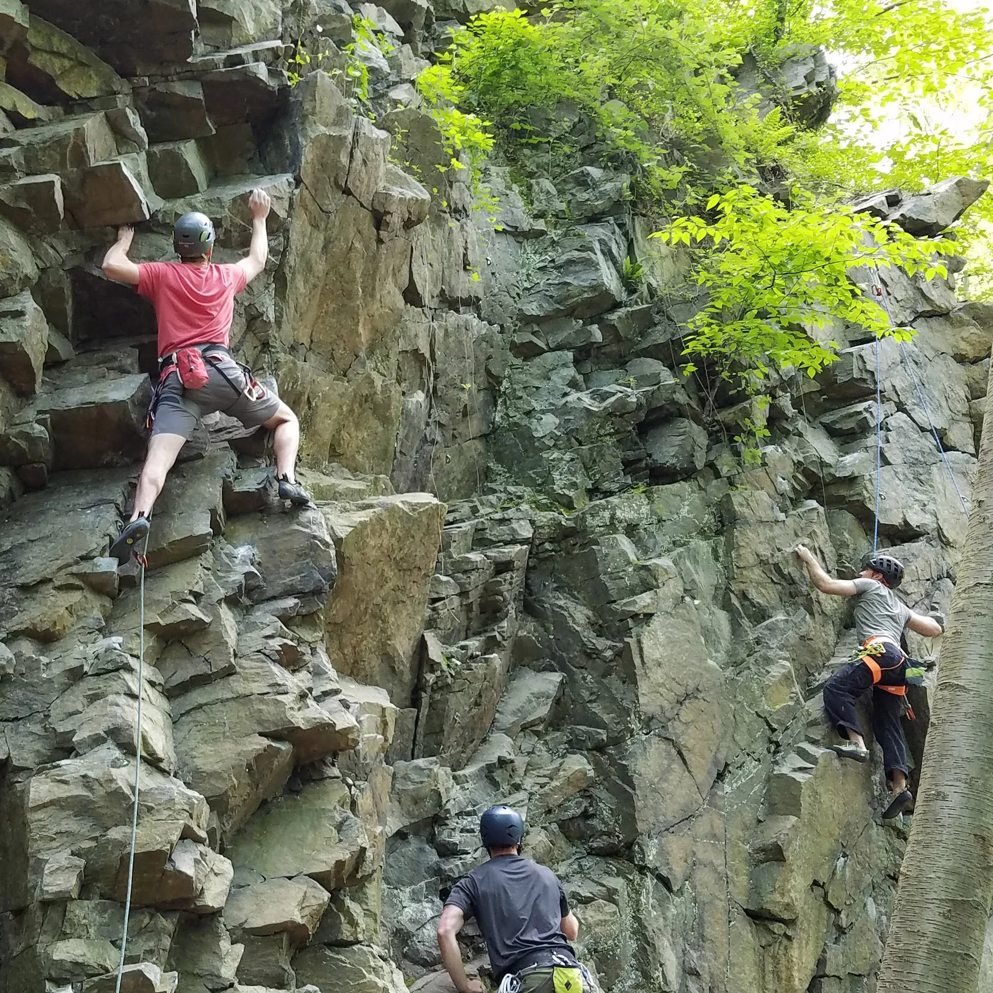20190518_134154-crop.jpg