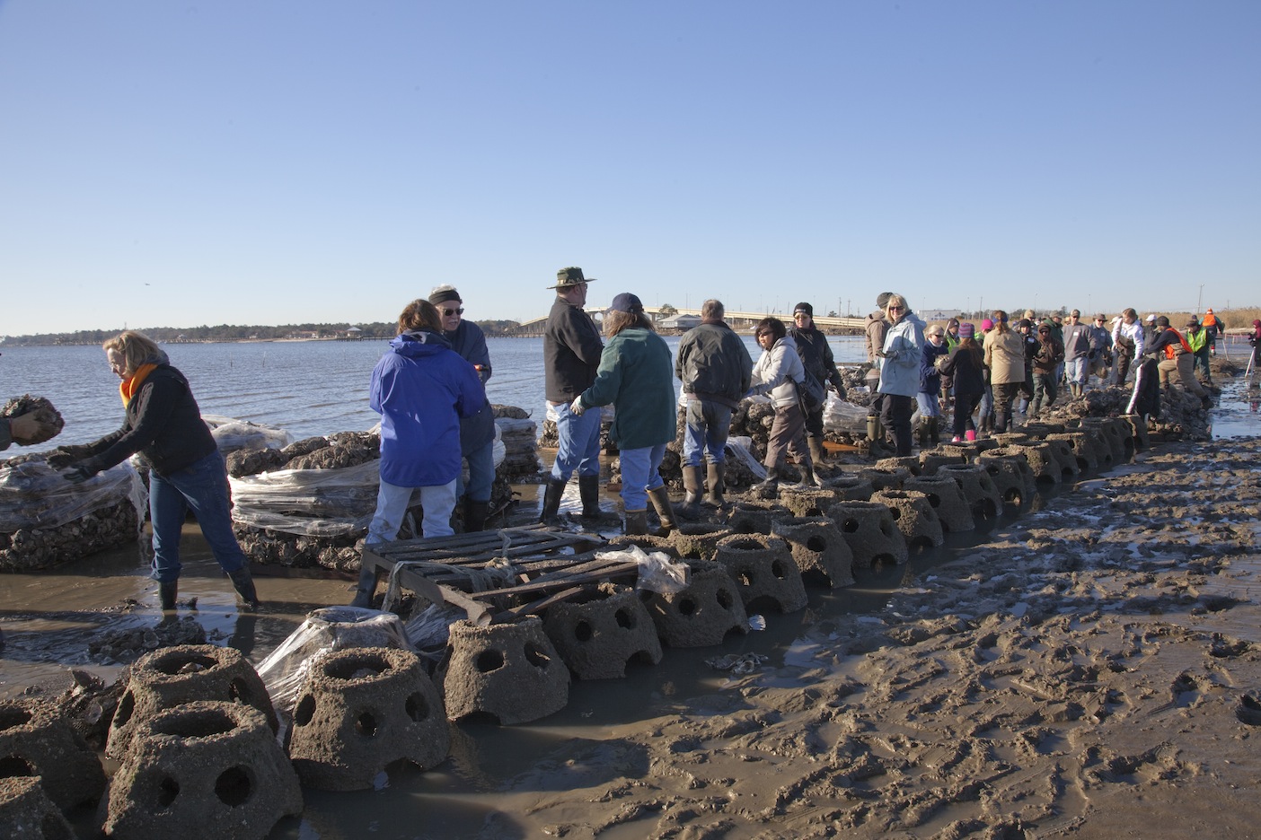 Volunteers work to build oyster reef.