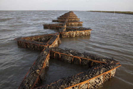 Reef restoration at Coffee Island in Portersville Bay, AL. Credit: Beth Maynor Young © 2010