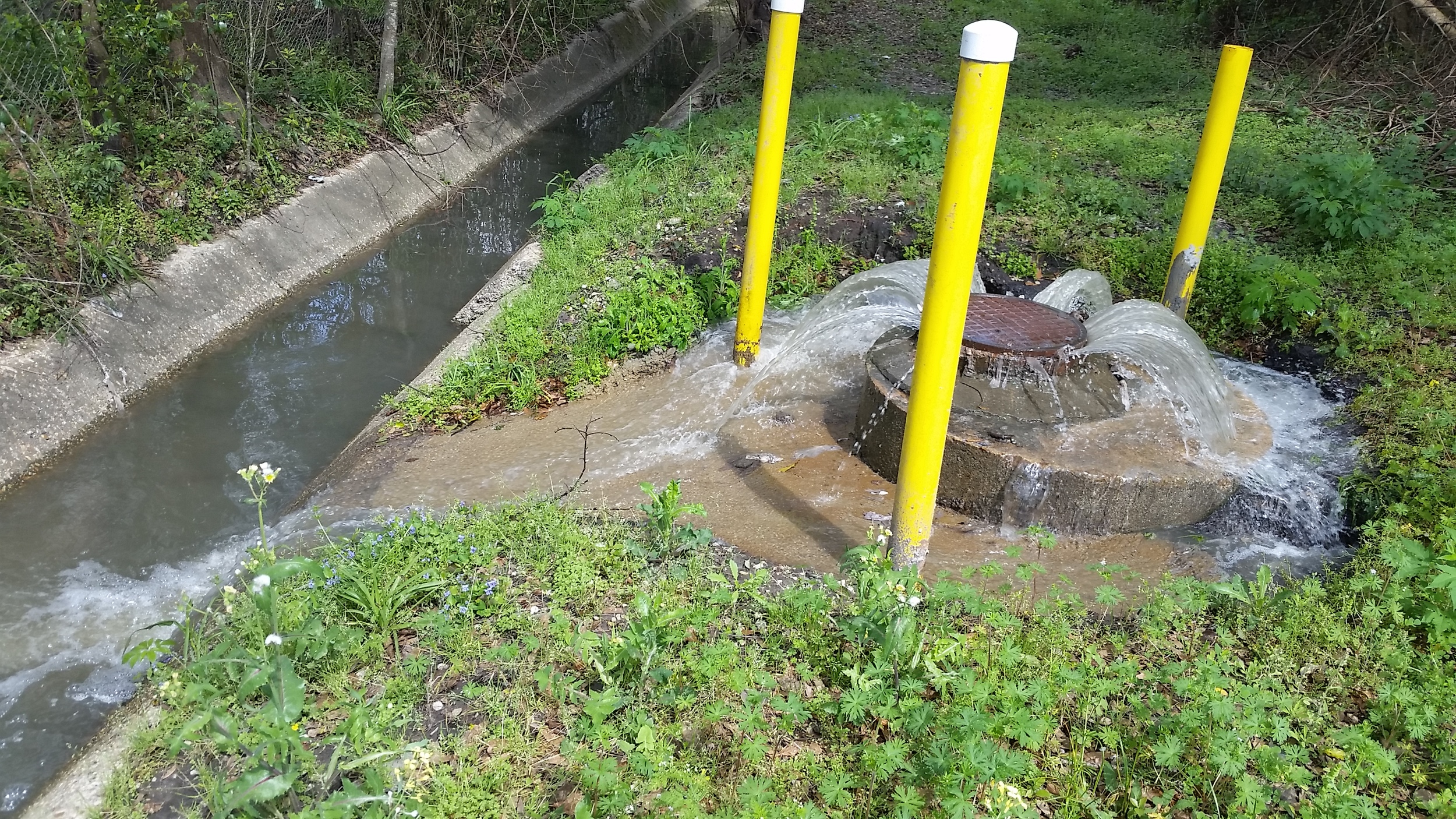 A sanitary sewer overflows near Three Mile Creek in Mobile.