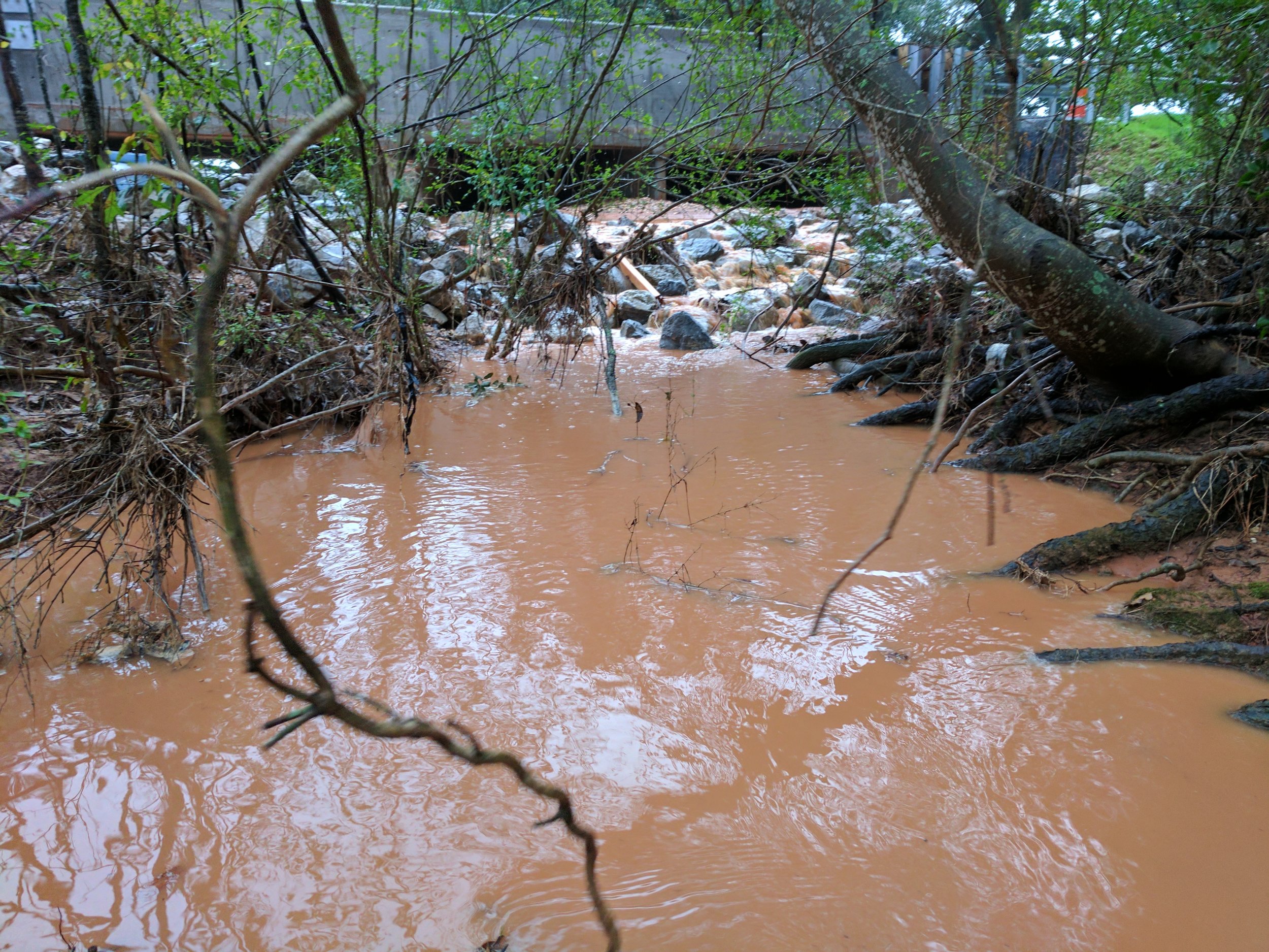 Above: Polluted muddy stormwater fills Point Clear Creek south of Fairhope.