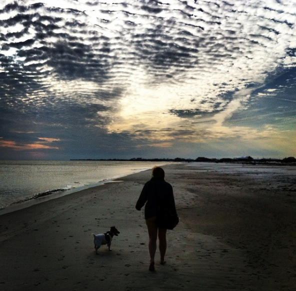 Taking a leisurely stroll on the beach at Dauphin Island with my dog. 