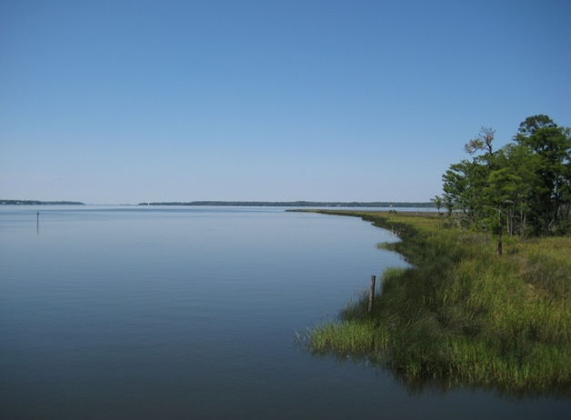 Fairhope students will have the opportunity to utilize the Weeks Bay Reserve during the school year to connect concepts learned in the classroom to the field. 