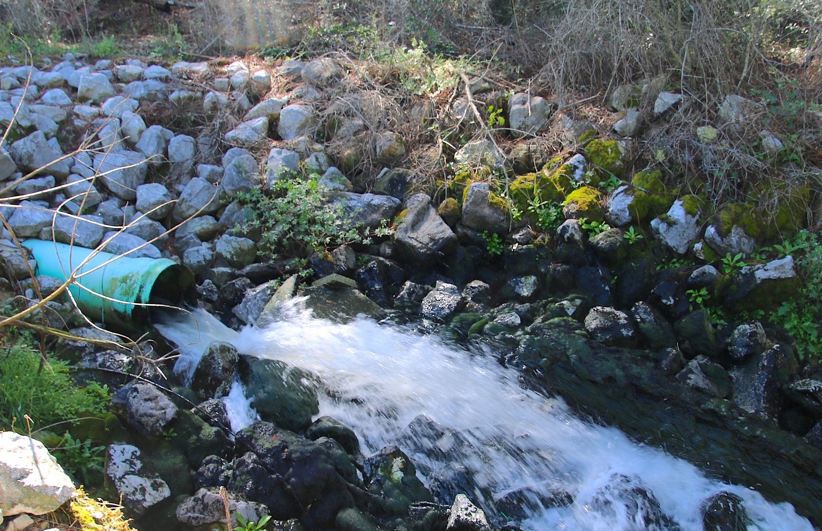 Wastewater discharges from a sewage treatment plant.