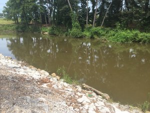Daphne Utilities spilled more than one million gallons of raw sewage into D'Olive Creek (pictured above) on August 11, 2017. 