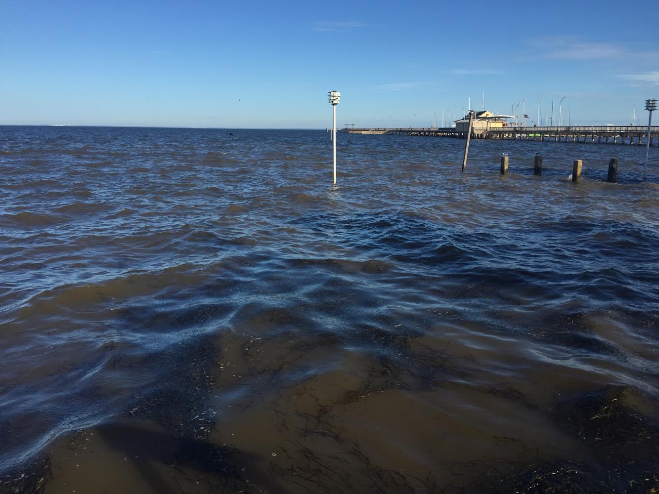 High turbidity can be seen at the time of sample collection on 05/29.