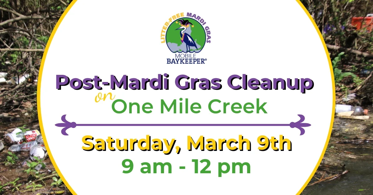 Post-Mardi Gras Cleanup on One Mile Creek.jpg