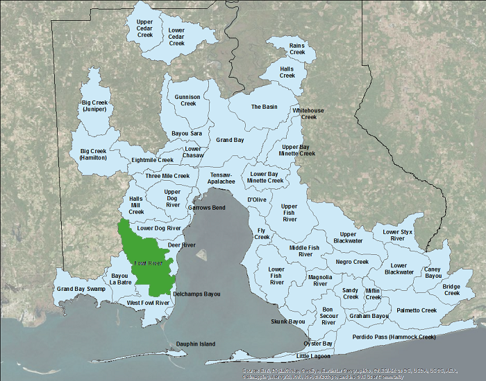 Image courtesy of Mobile Bay NEP.