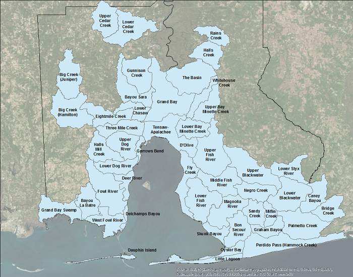 Image courtesy of Mobile Bay NEP.
