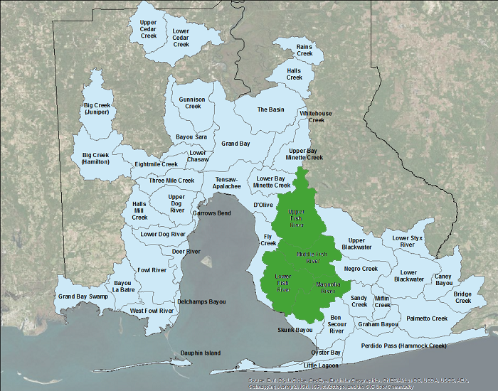 Image courtesy of Mobile Bay NEP.