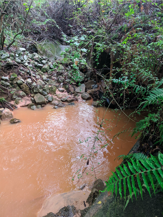 stormwater-1.png