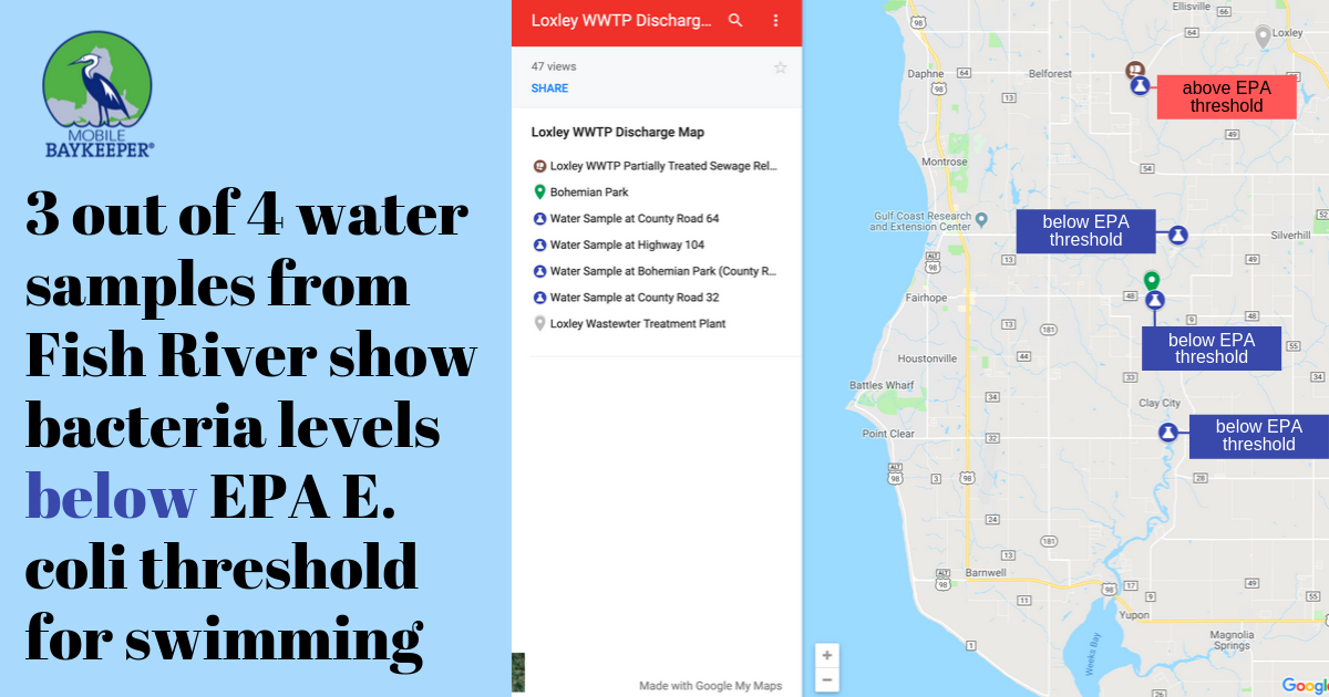 3 out of 4 water samples from Fish River show bacteria levels below EPA E. coli threshold for swimming.png
