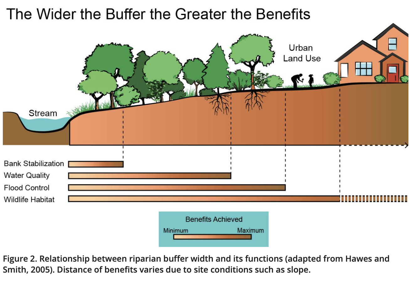 Figure 4 - A diagram from the Tennessee Urban Riparian Buffer Handbook shows how benefits of a riparian buffer increase as its width increases.
