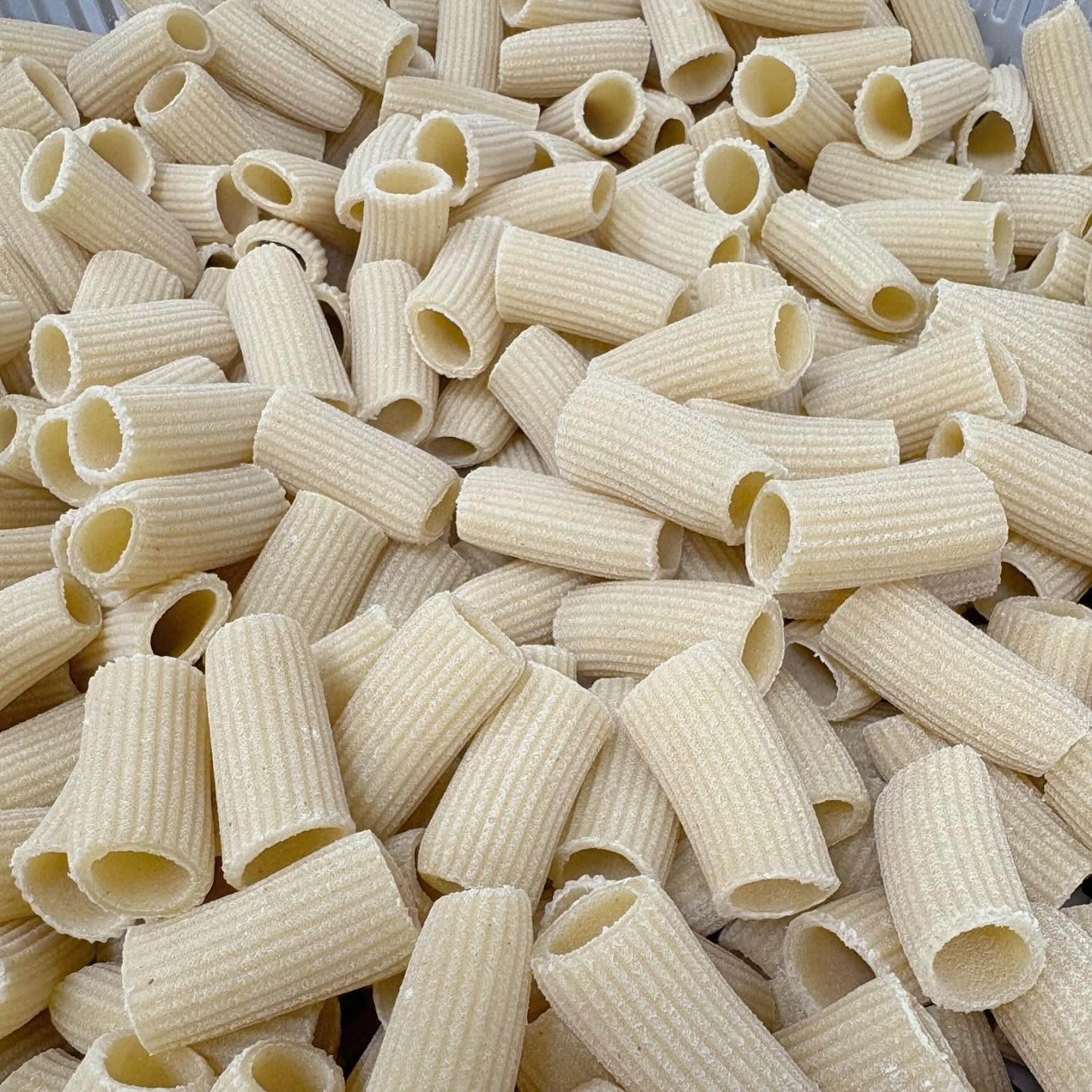 Be honest &mdash; rigatoni might be the perfect pasta, right? Those ridges don&rsquo;t lie.