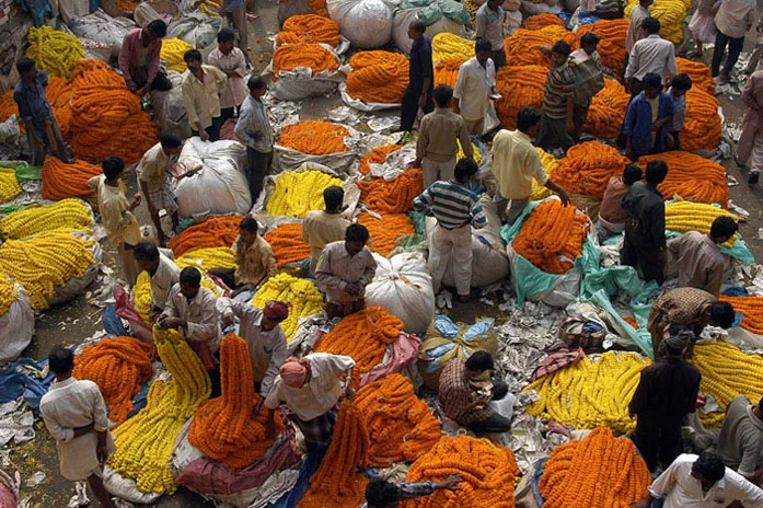 Kolkata Flower Market. Image Courtesy of Parasarathi Mukherjee, Walks in Kolkata.