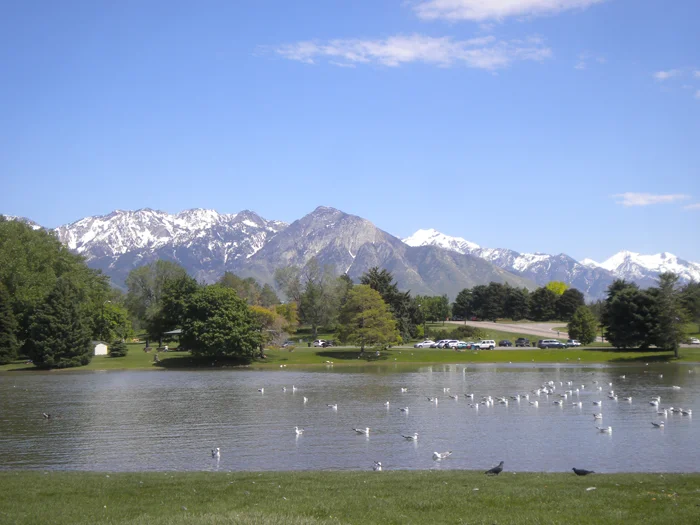 Rethinking Sugar House Park