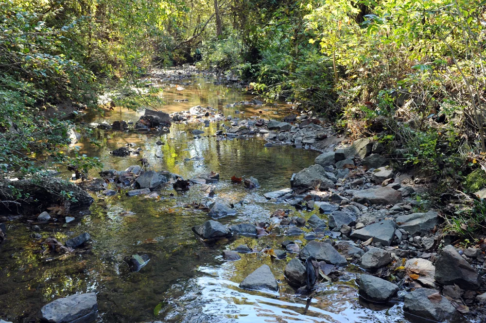 Charlotte, North Carolina: Stewart Creek, with Charlotte-Mecklenburg Storm Water Services