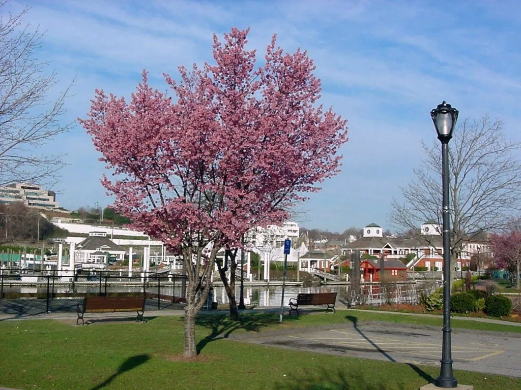 Downtown Norwich… Then and Now