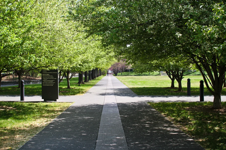 Jane’s Walk to Kid Klatch Picnic