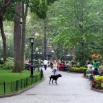 The BROADWAY: 1000 Steps (Downtown)