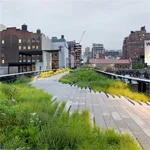 Walk the High Line (Pt. 1)