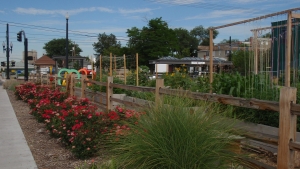 Diversity in the Details