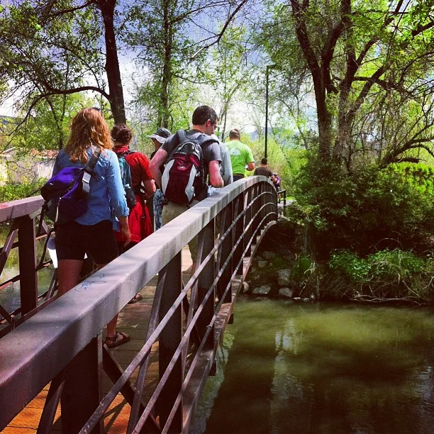 The Ecology of the Jordan River