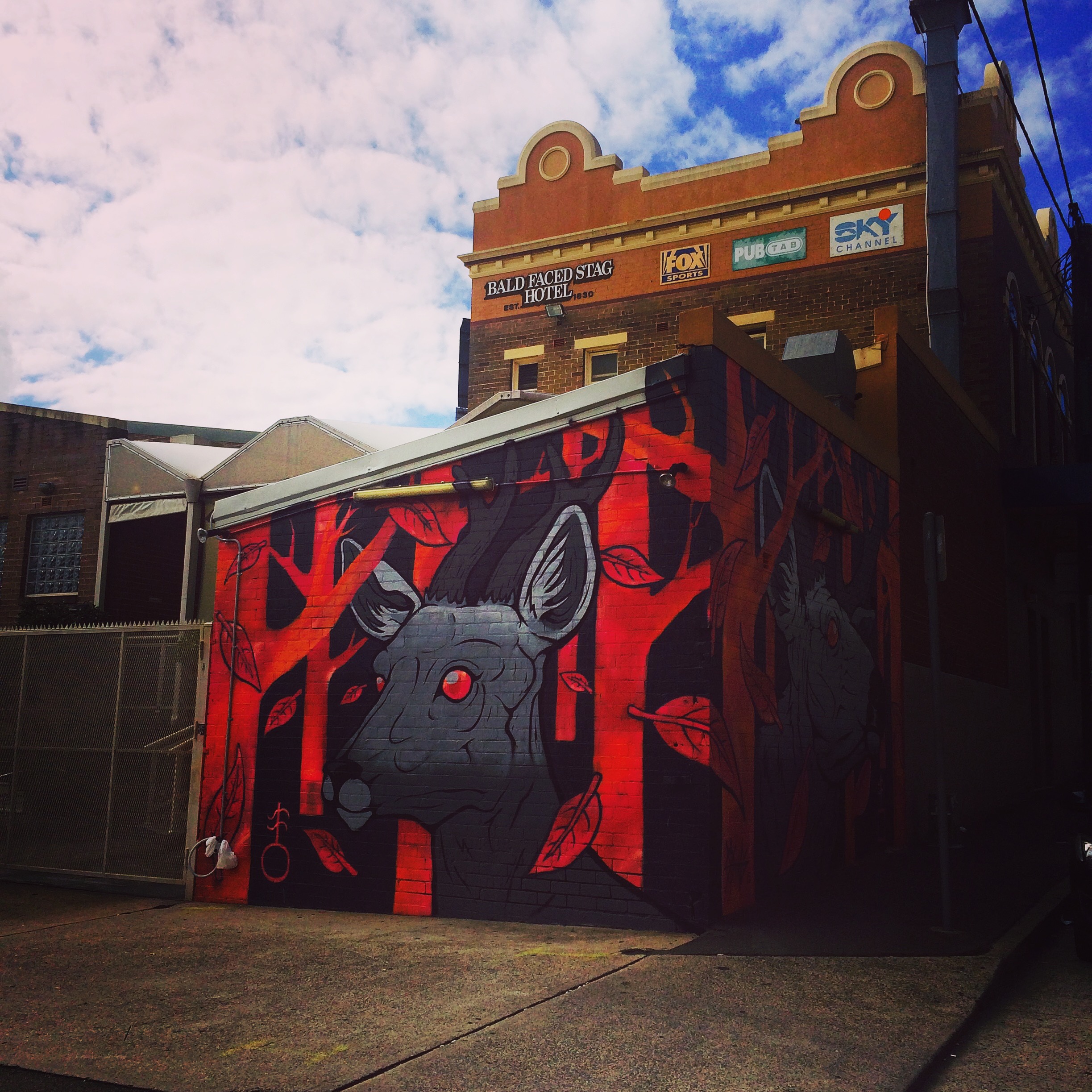 Rediscovering Leichhardt