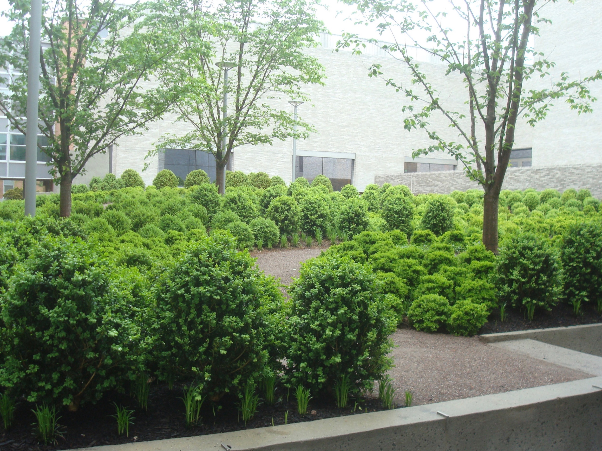 "Green Roof" at Andlinger Center