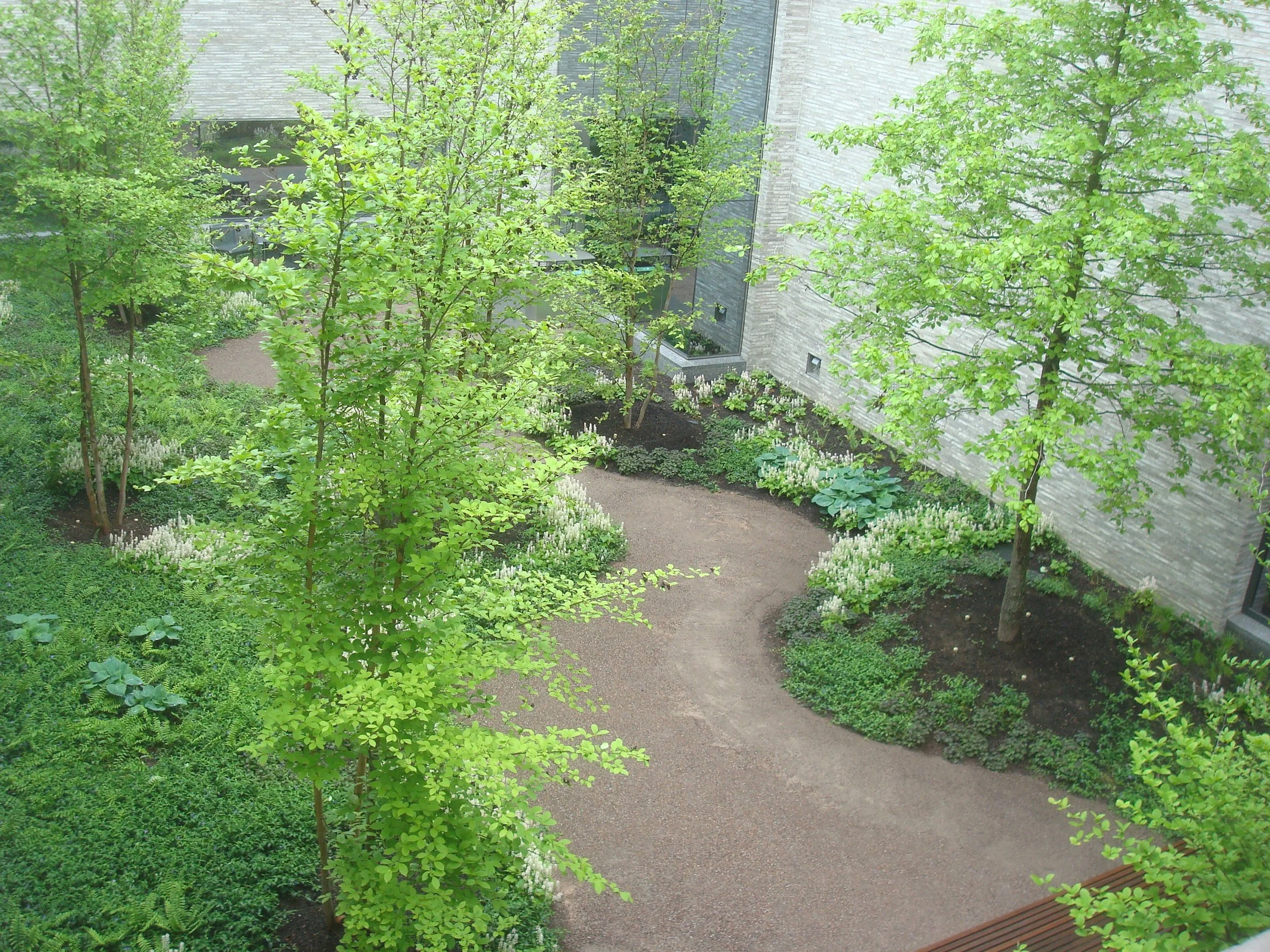 Interior courtyard of the Andlinger Center, with walking path.