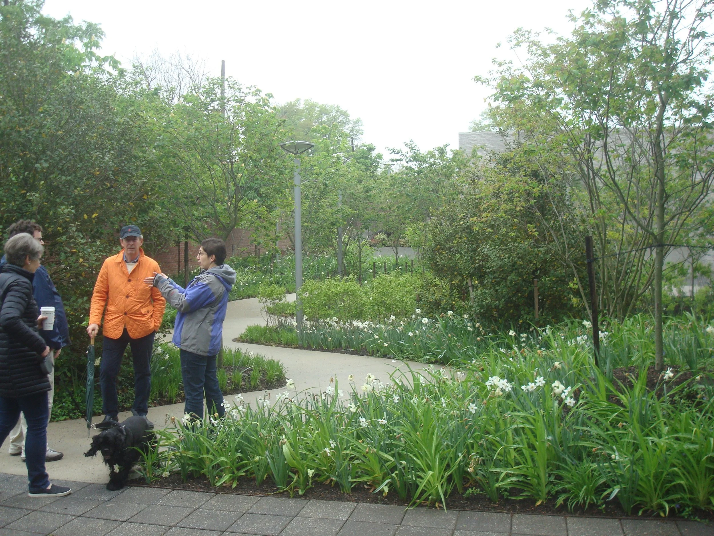Exploring walking paths on the Princeton ‘Jane Jacobs Walk’. 