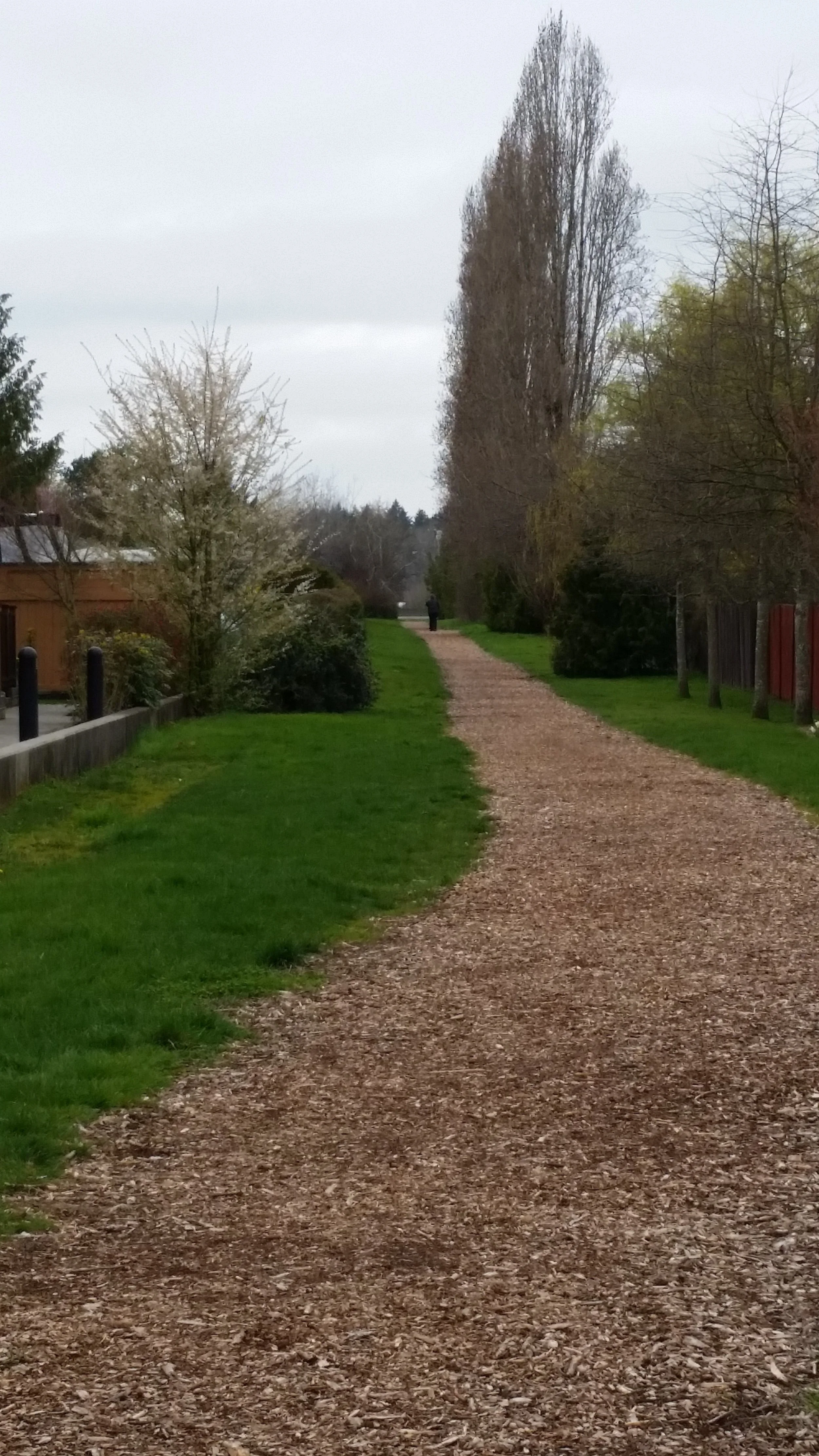 Connecting Through Sidney's Greenspaces